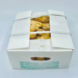 Ginger Carton